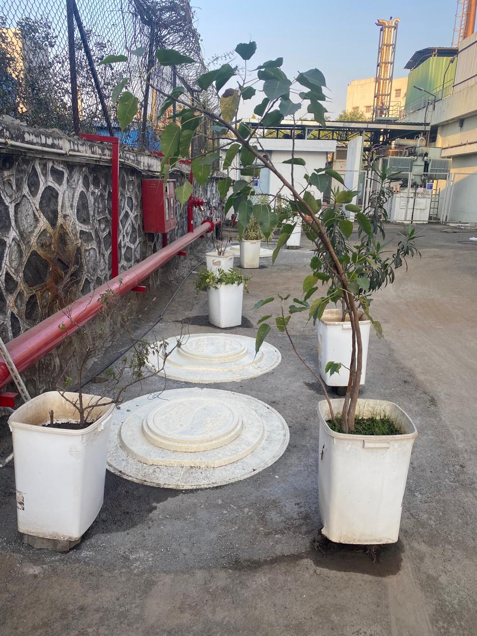 Medispray Laboratories field work 2